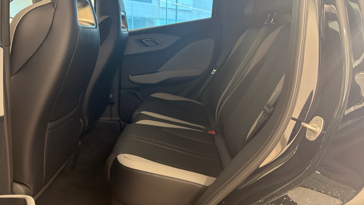 BYD DOLPHIN SURF