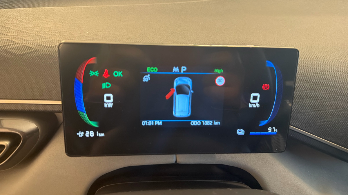 BYD DOLPHIN SURF