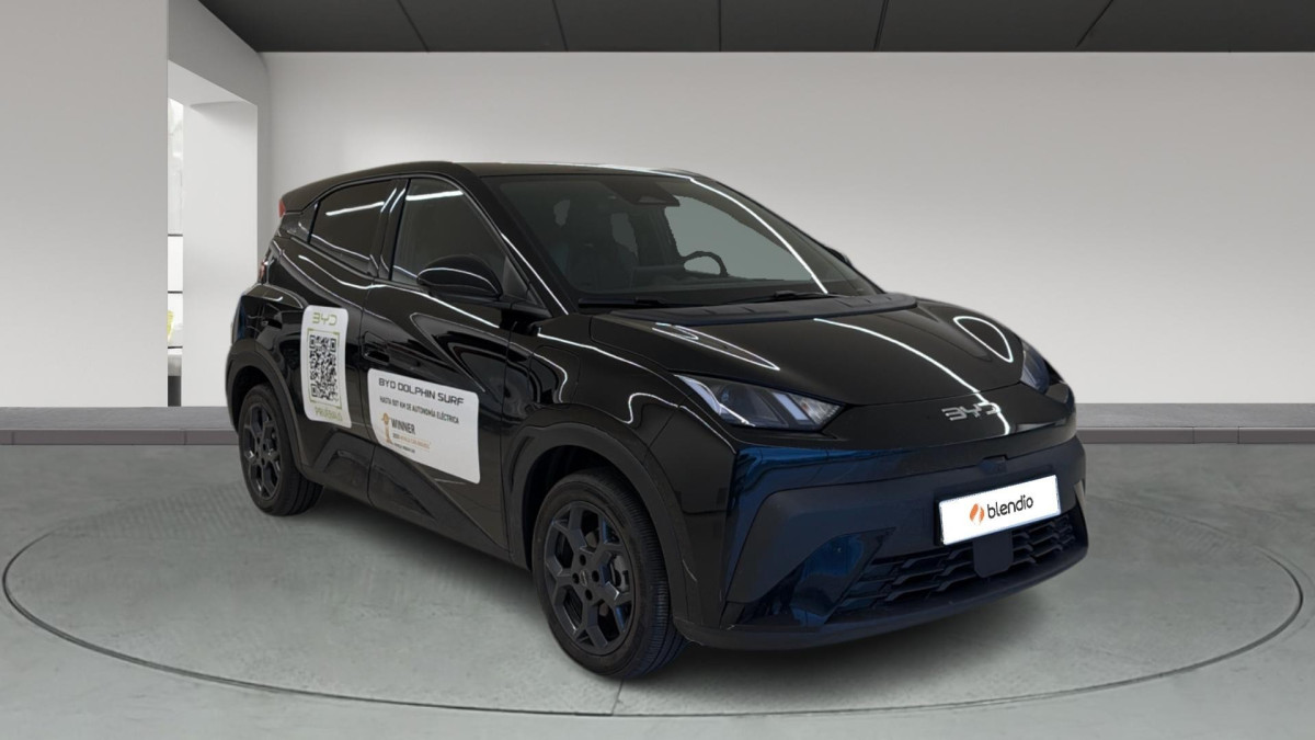 BYD DOLPHIN SURF
