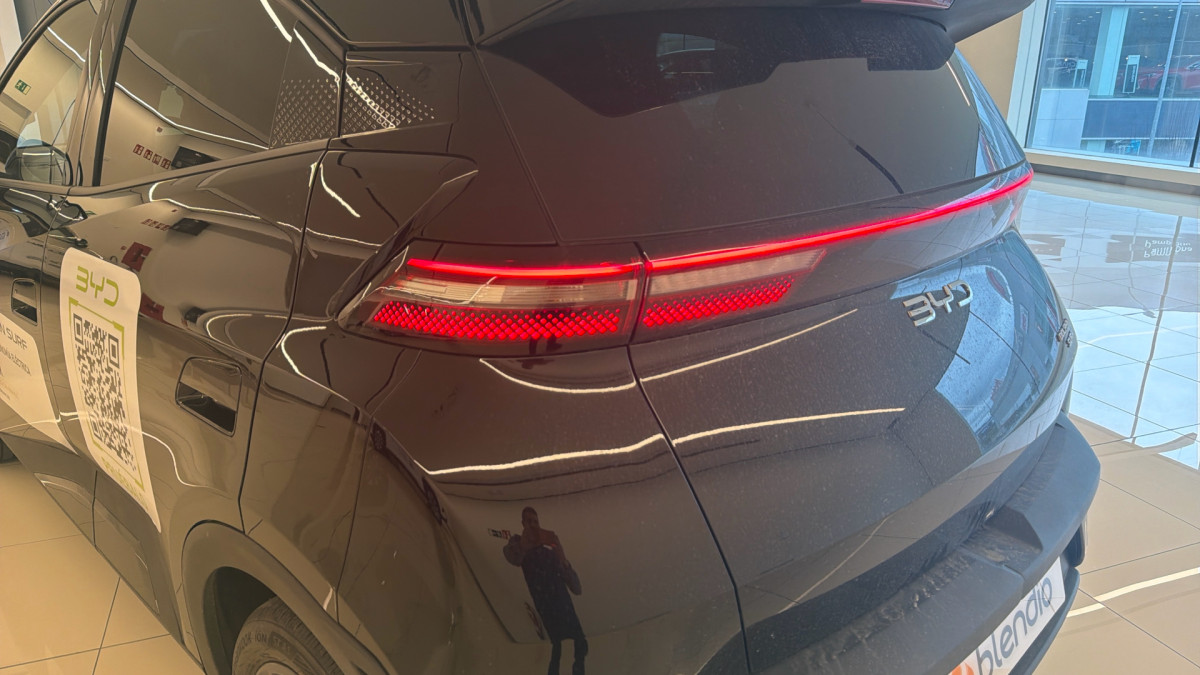 BYD DOLPHIN SURF