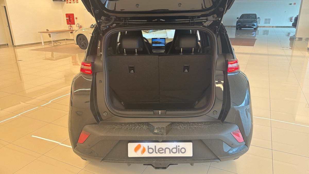BYD DOLPHIN SURF