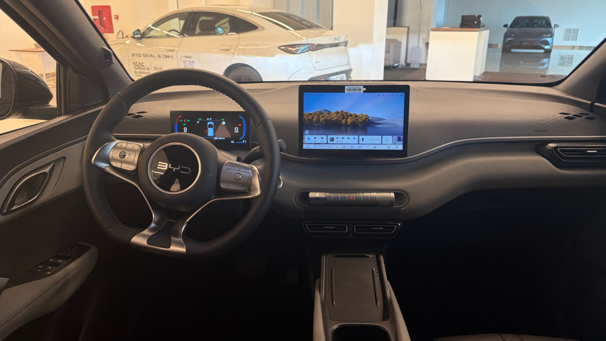BYD DOLPHIN SURF
