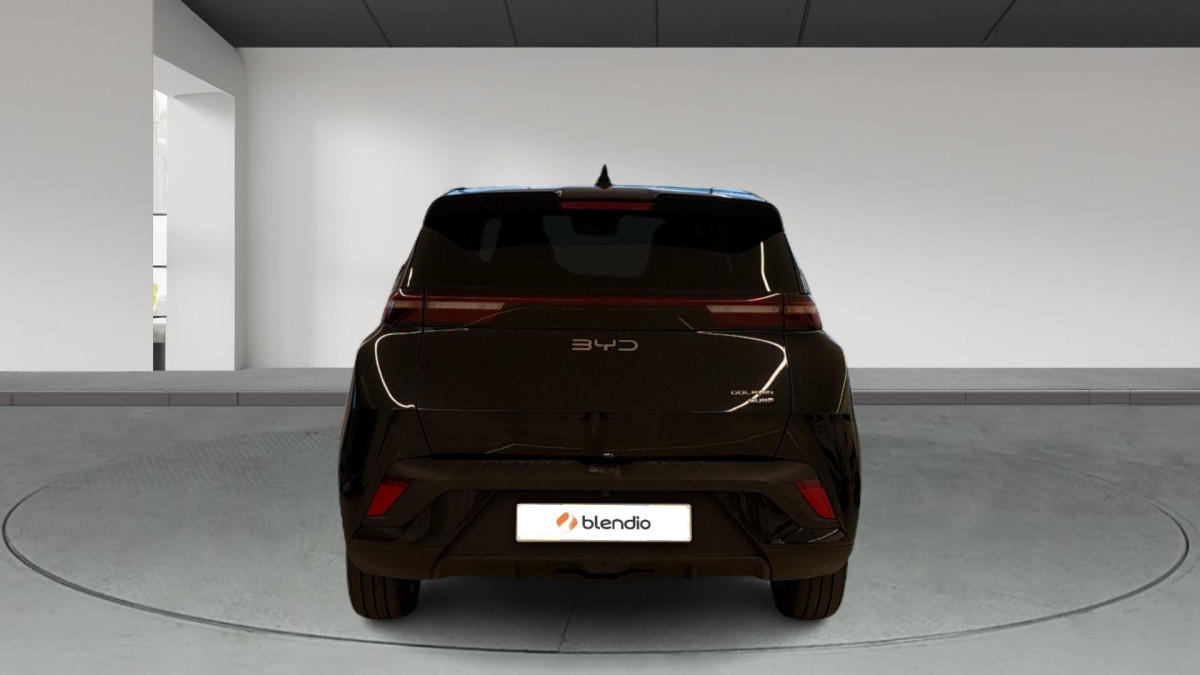 BYD DOLPHIN SURF