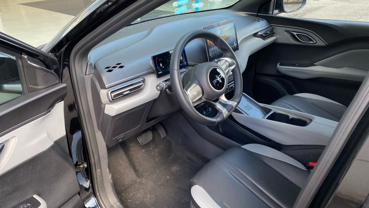 BYD DOLPHIN SURF