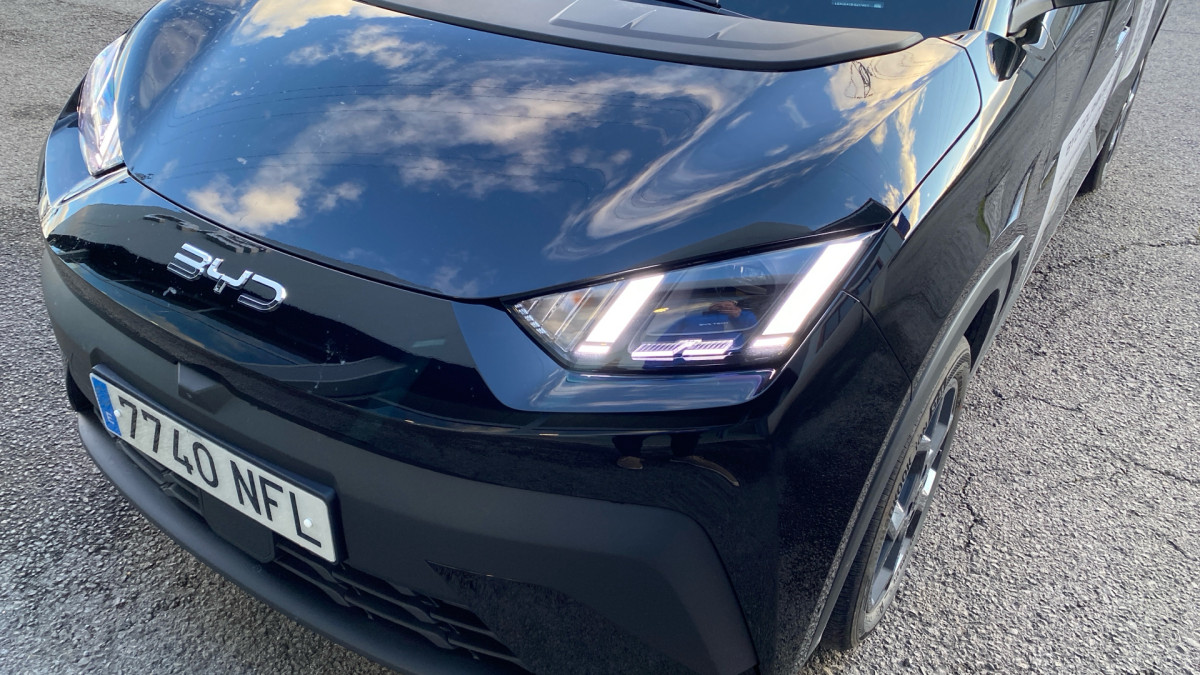BYD DOLPHIN SURF