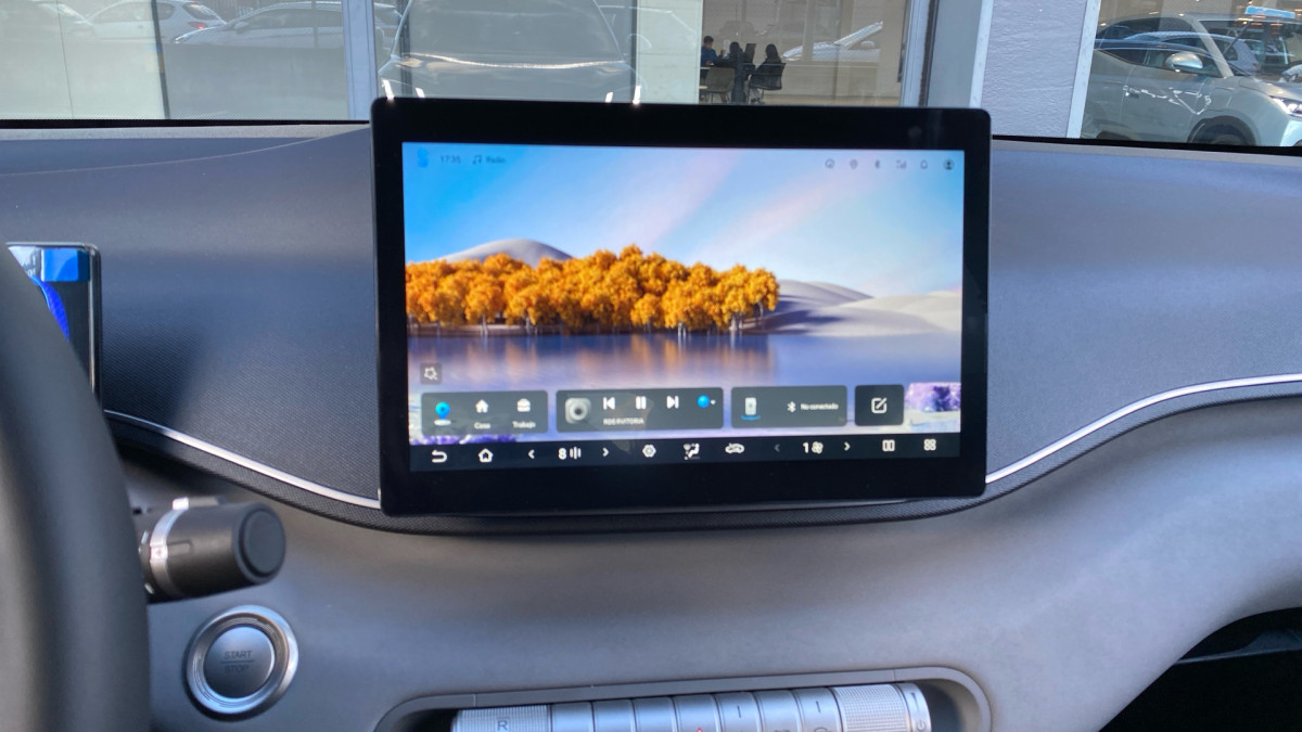 BYD DOLPHIN SURF
