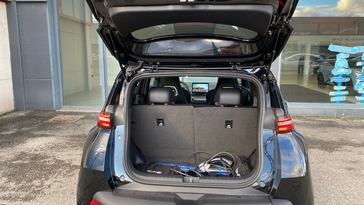 BYD DOLPHIN SURF