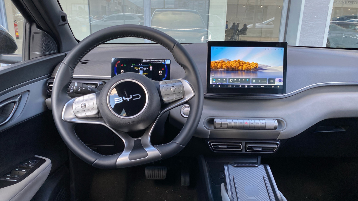 BYD DOLPHIN SURF