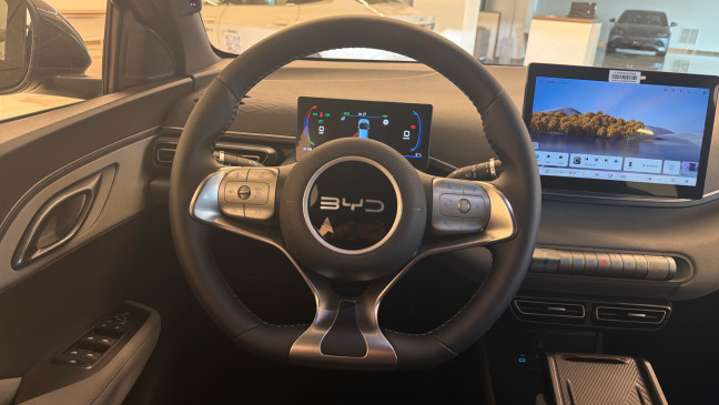 BYD DOLPHIN SURF
