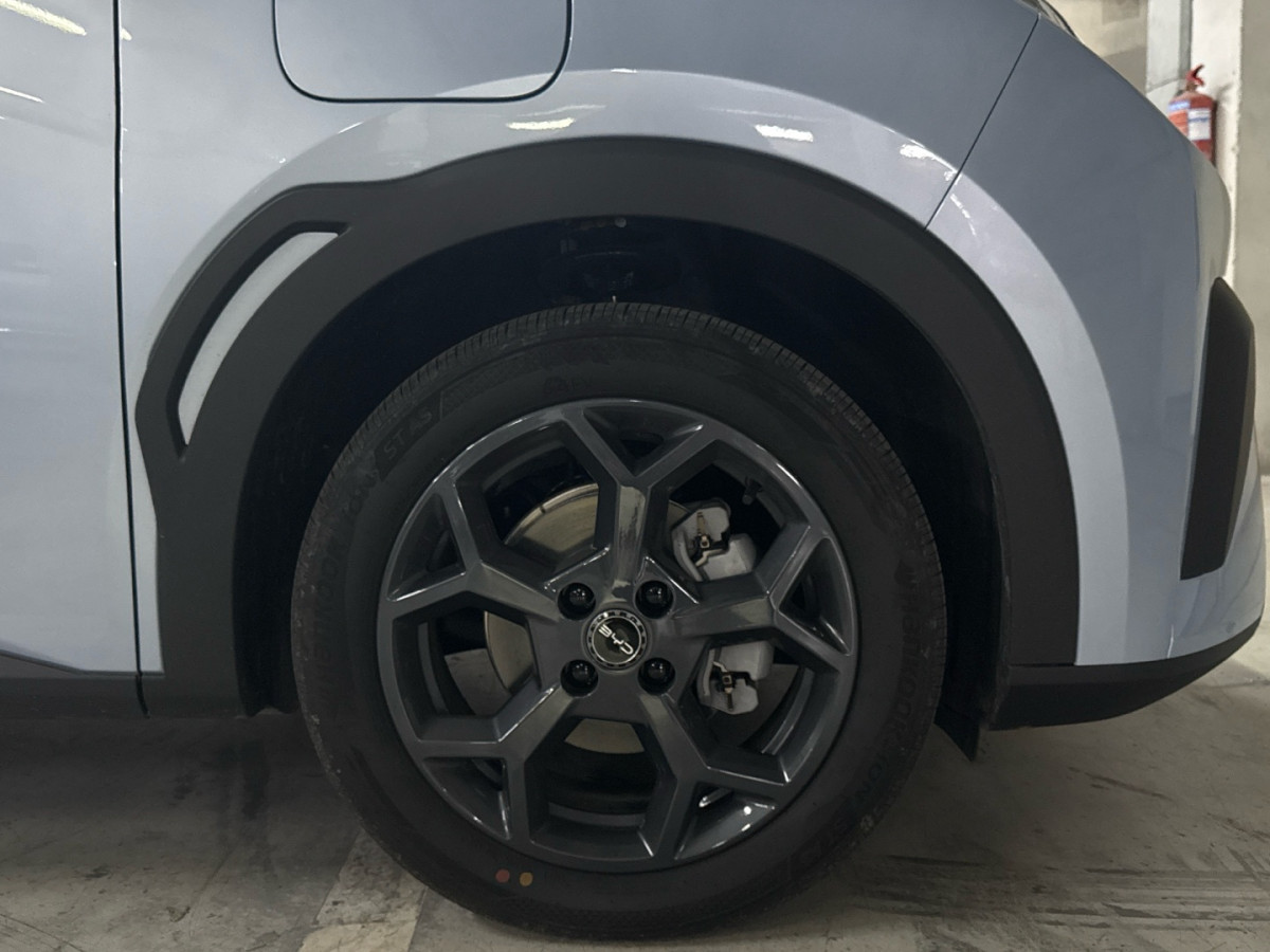BYD DOLPHIN SURF