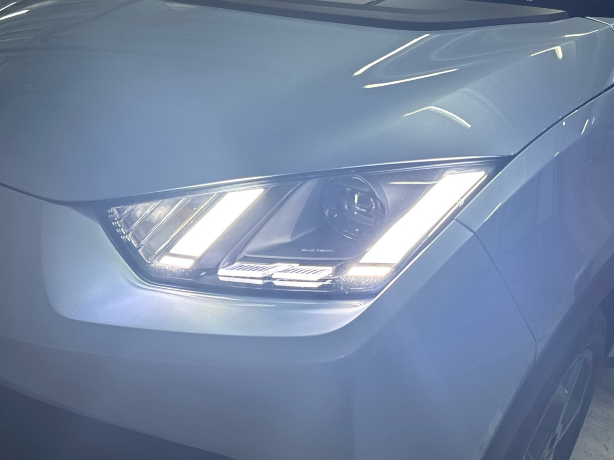 BYD DOLPHIN SURF