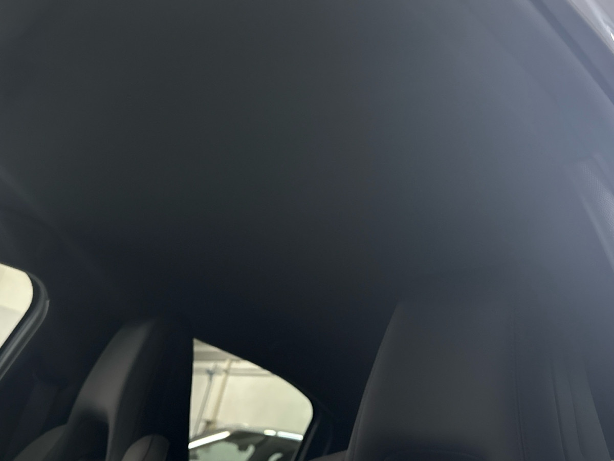 BYD DOLPHIN SURF