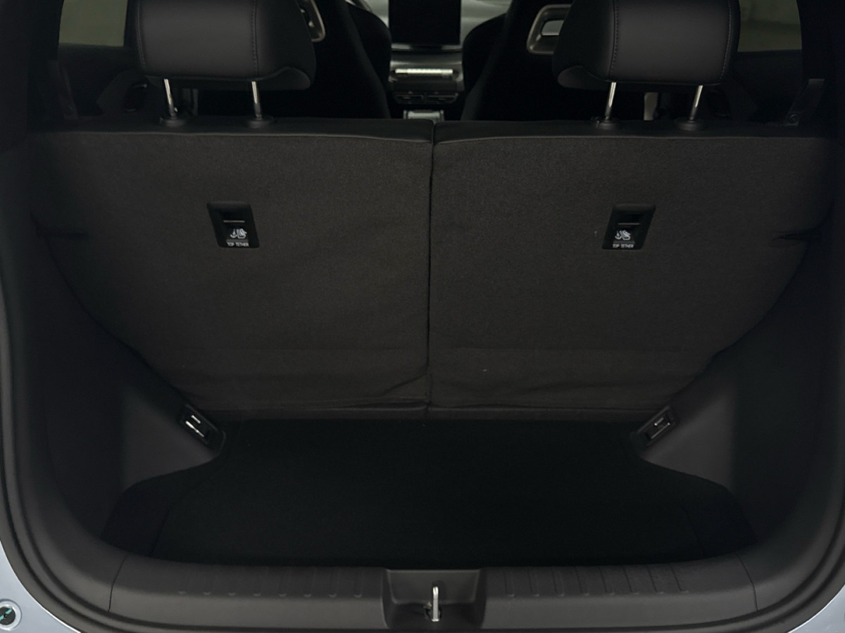 BYD DOLPHIN SURF
