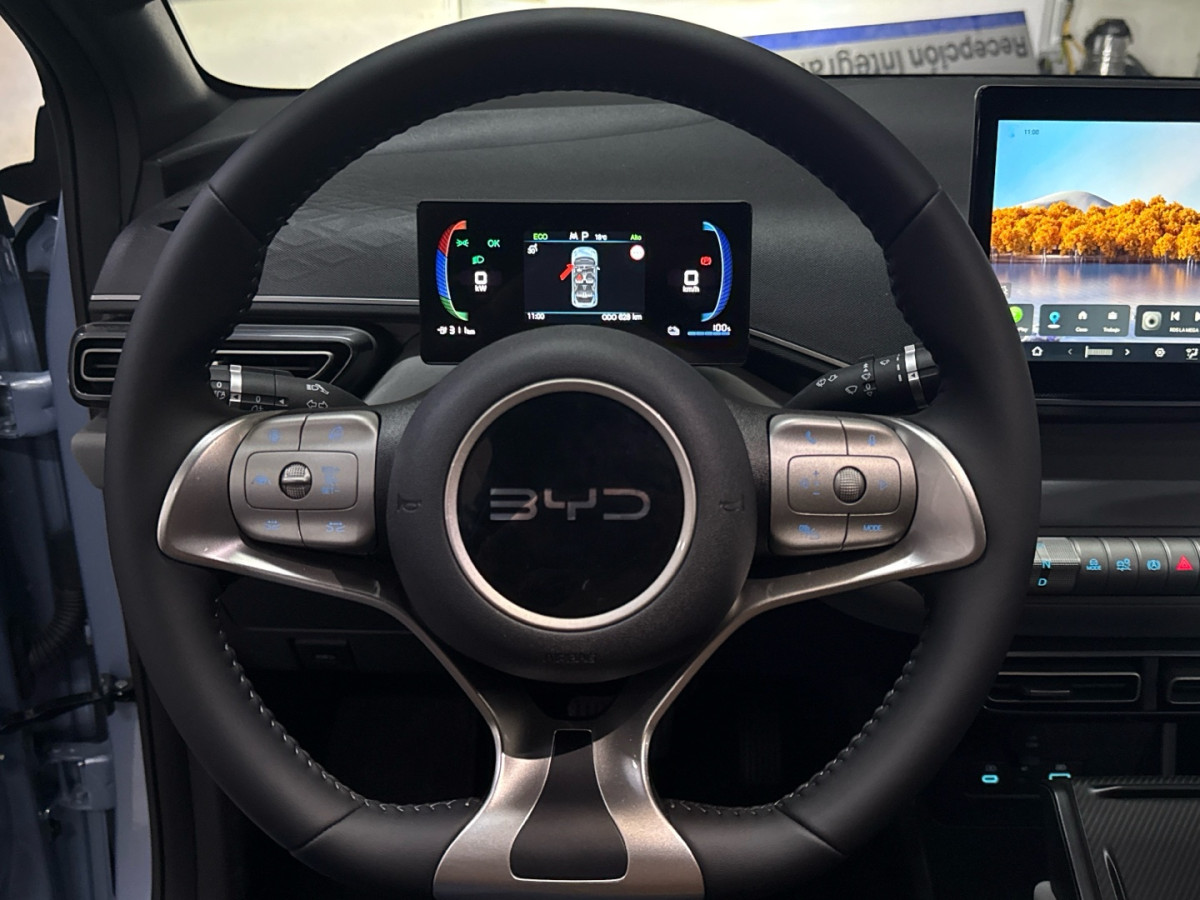 BYD DOLPHIN SURF