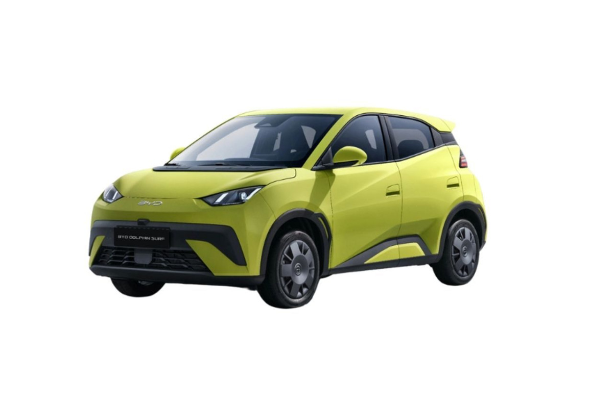 BYD Dolphin Surf