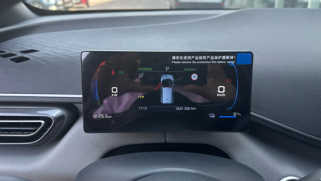 BYD DOLPHIN SURF