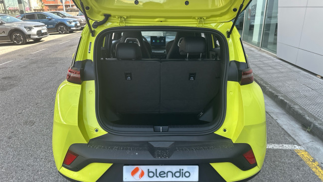 BYD DOLPHIN SURF