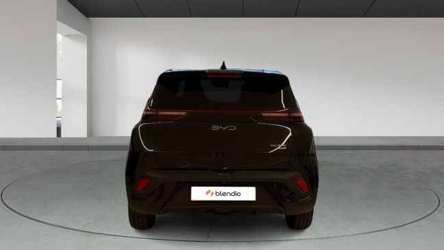 BYD DOLPHIN SURF