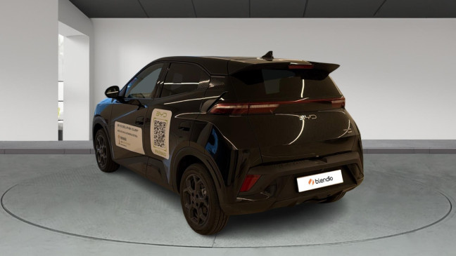 BYD DOLPHIN SURF