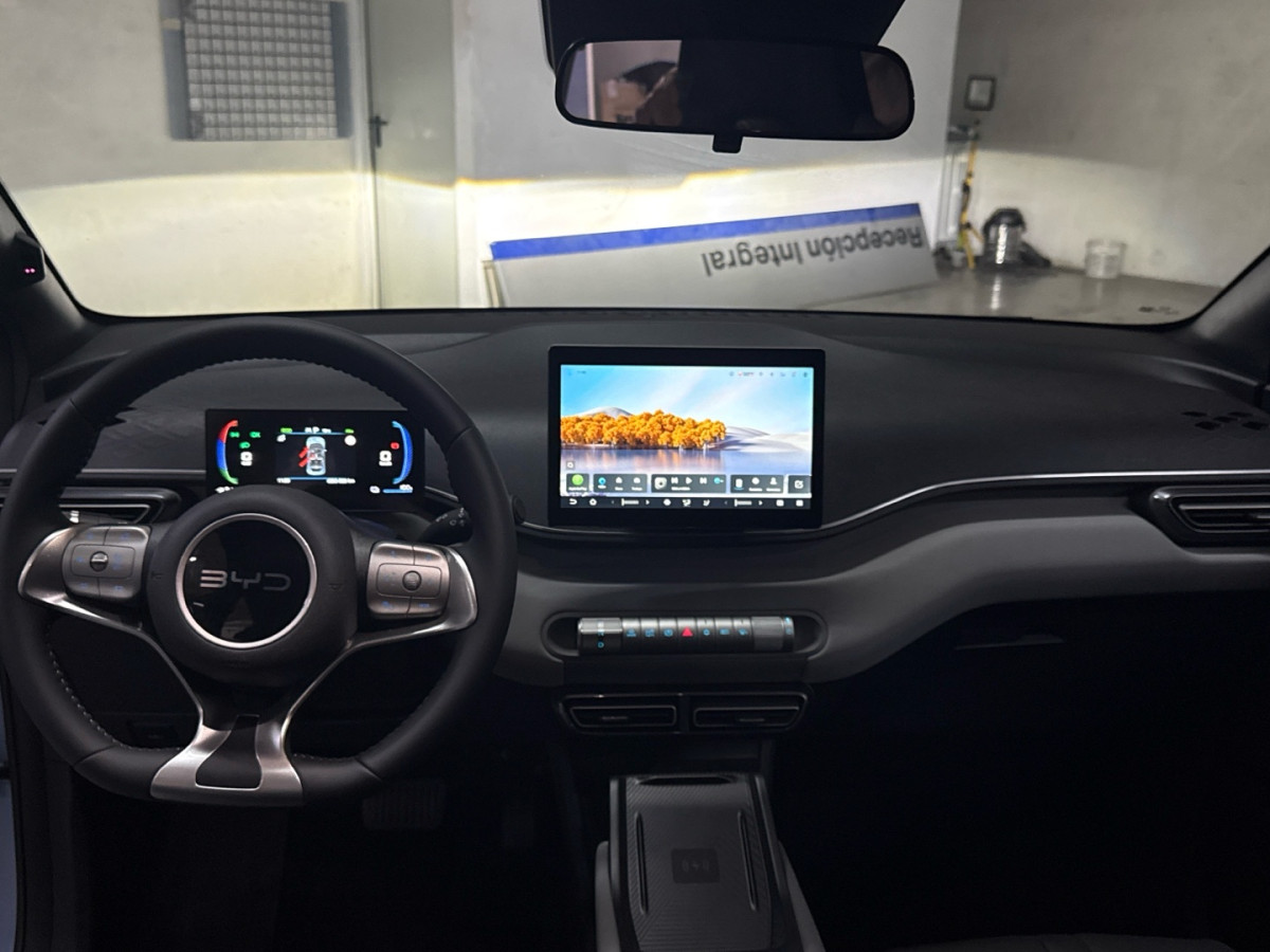 BYD DOLPHIN SURF