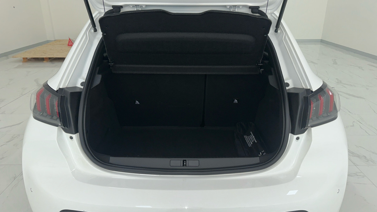 PEUGEOT SPACE