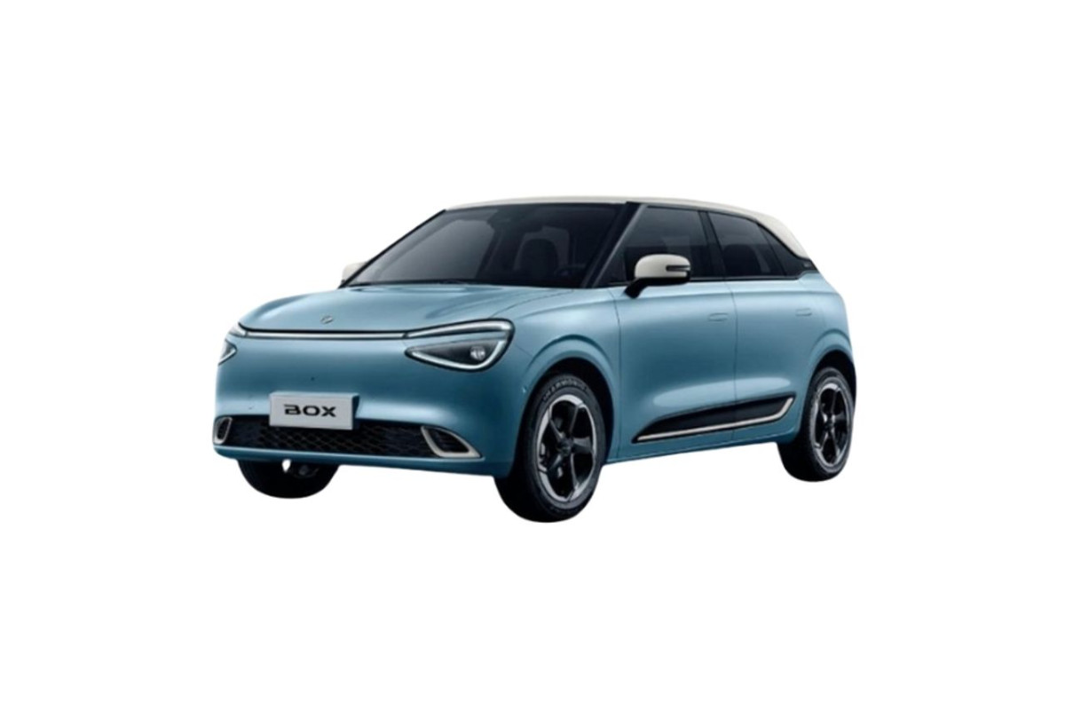 DONGFENG Box