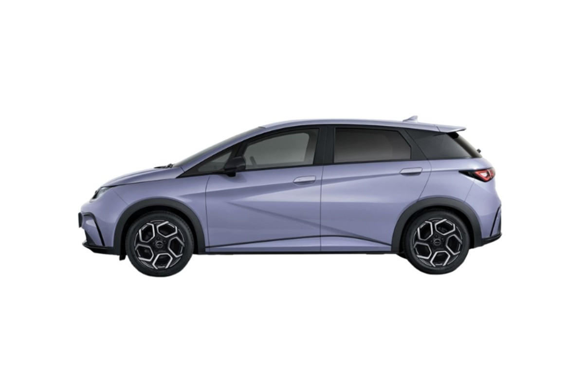 BYD Dolphin