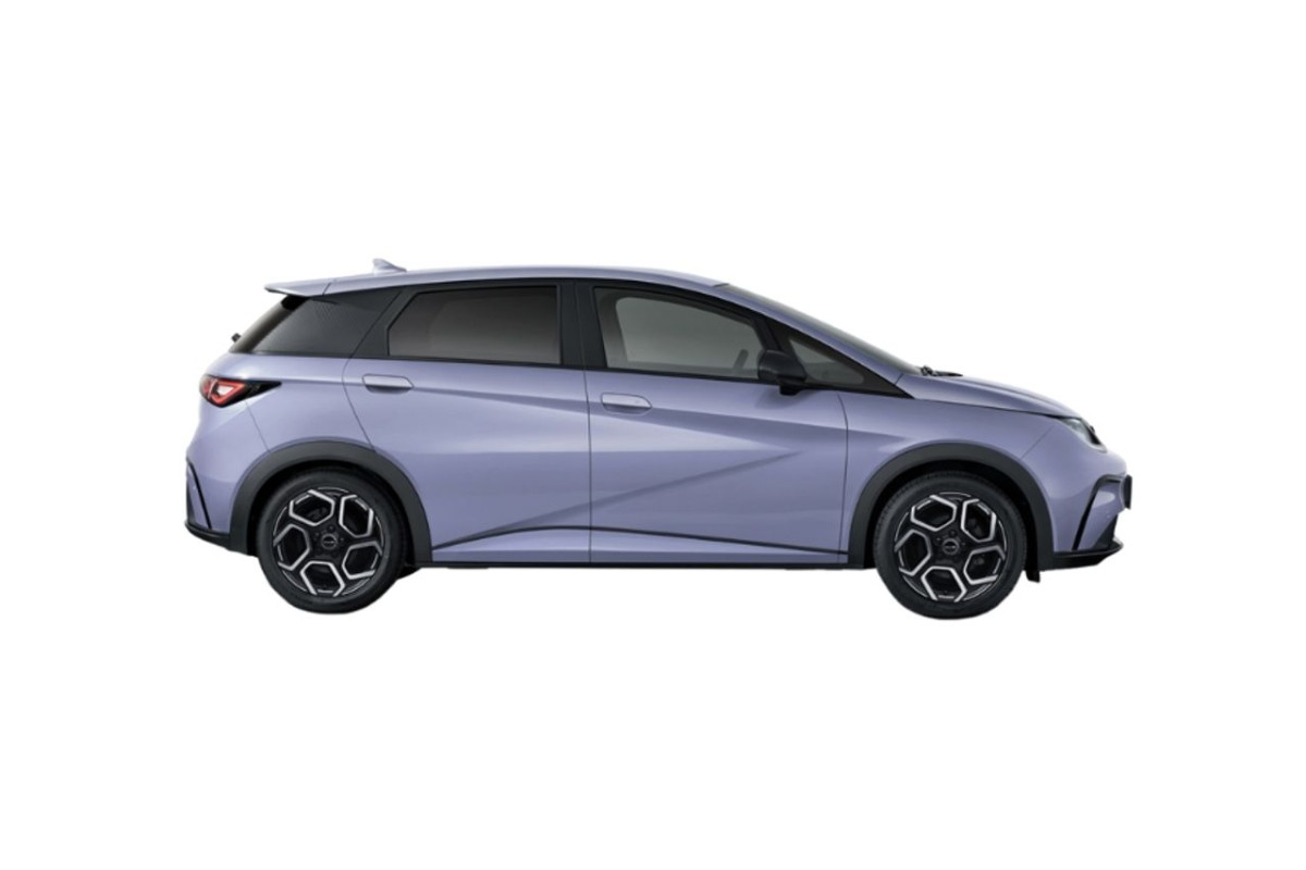 BYD Dolphin
