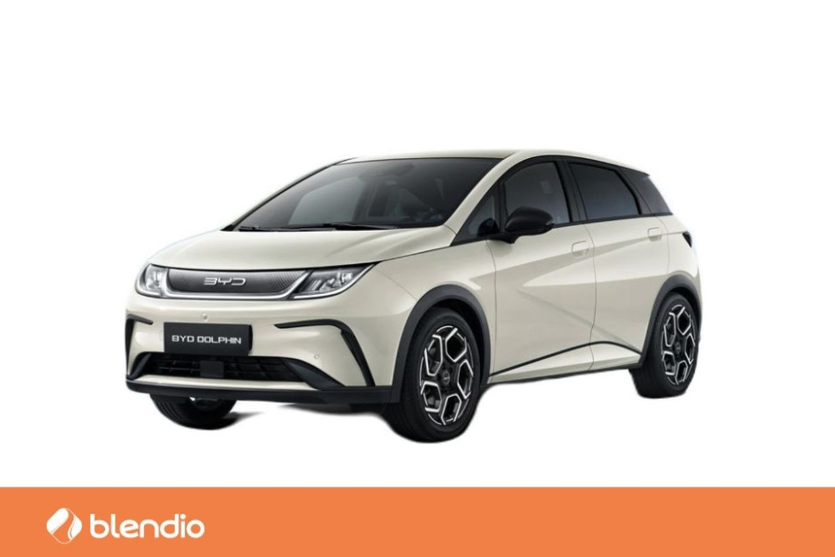 BYD Dolphin Design