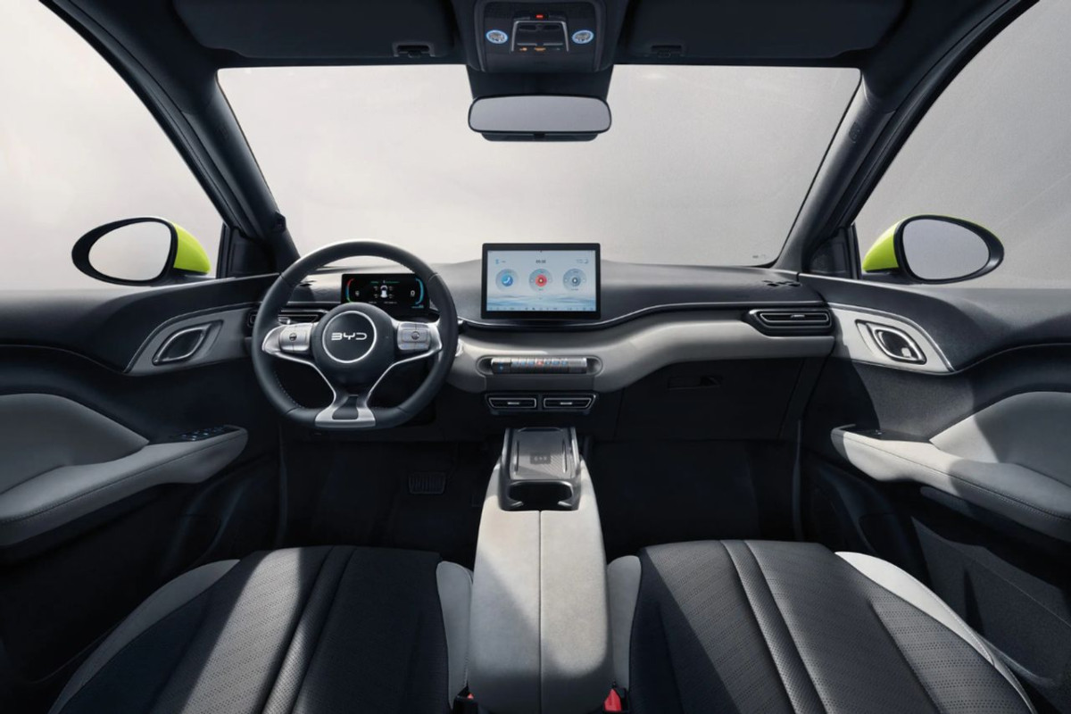 BYD Dolphin Surf