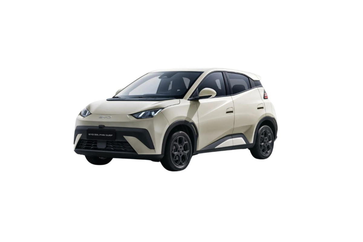 BYD Dolphin Surf