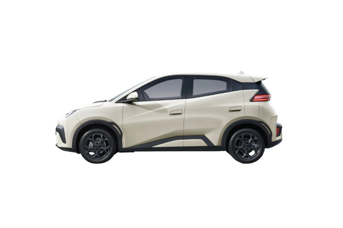 BYD Dolphin Surf
