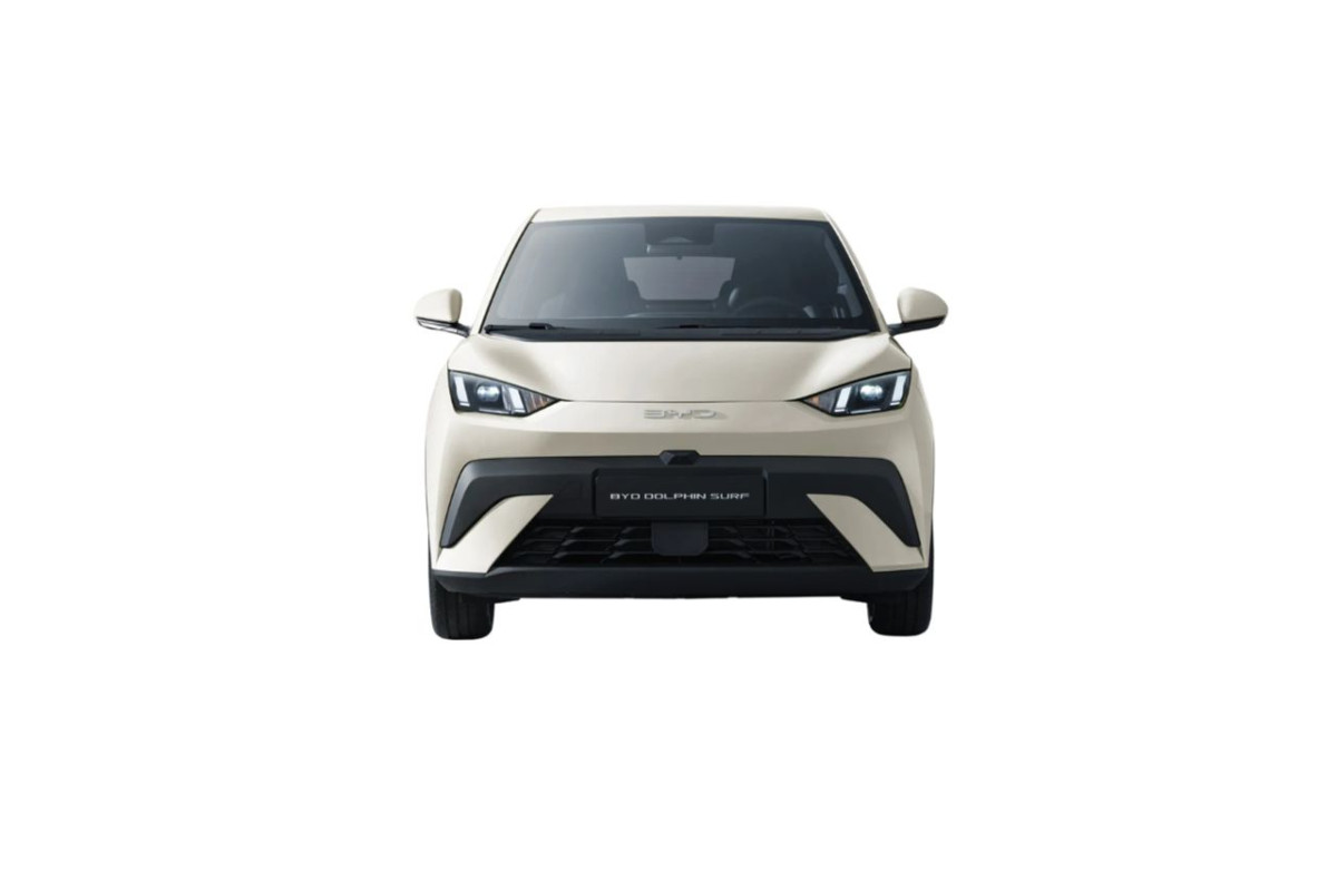 BYD Dolphin Surf