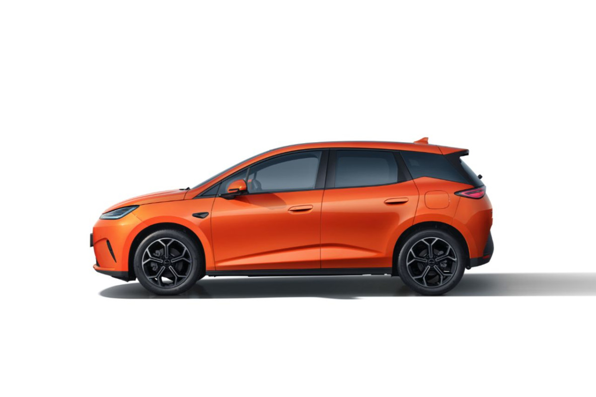BYD Dolphin G DM-i