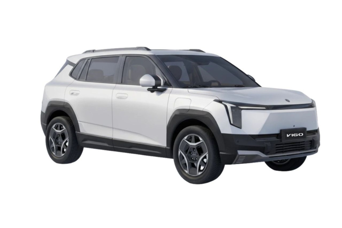 DONGFENG Vigo