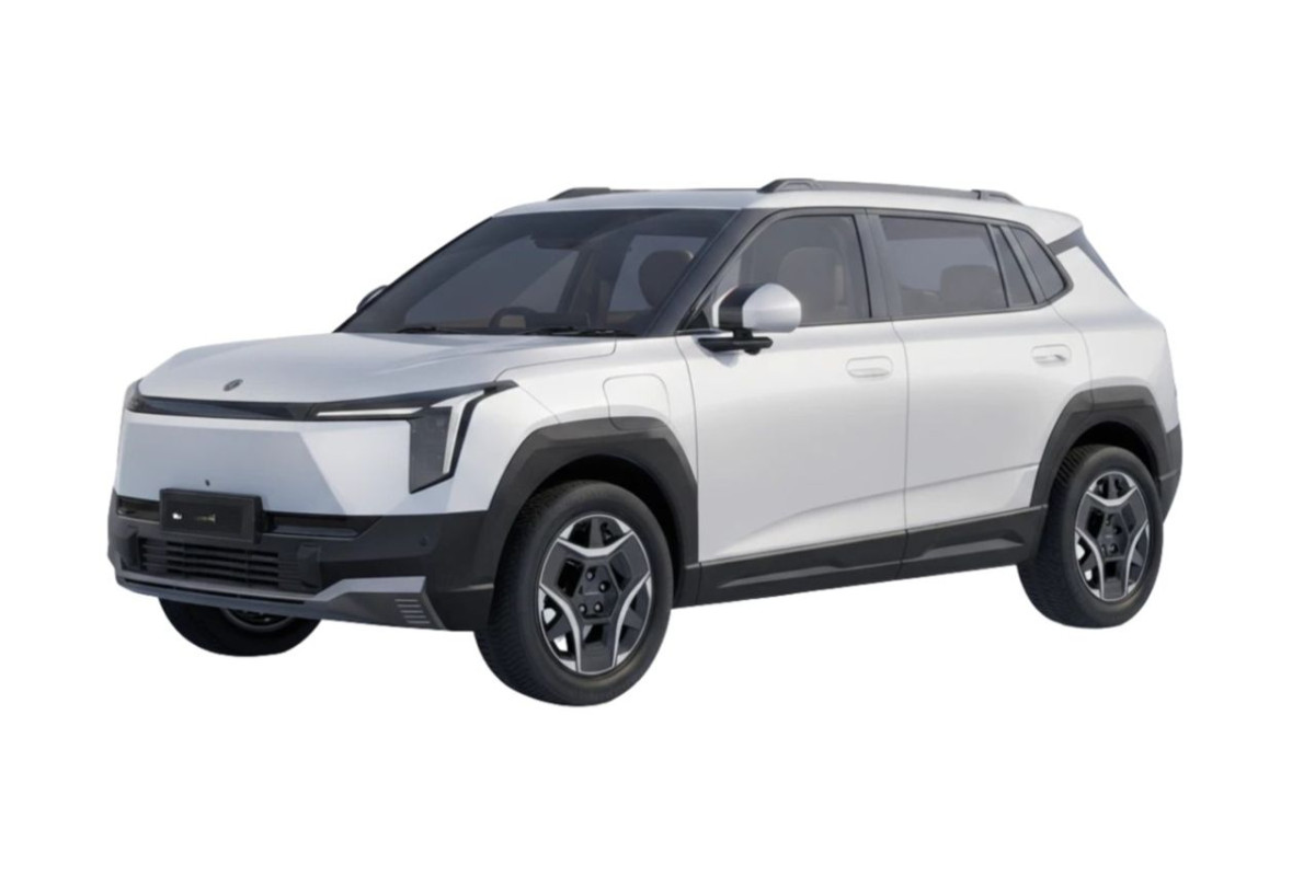DONGFENG Vigo