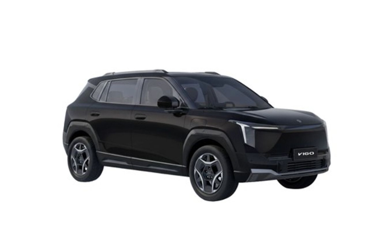 DONGFENG Vigo