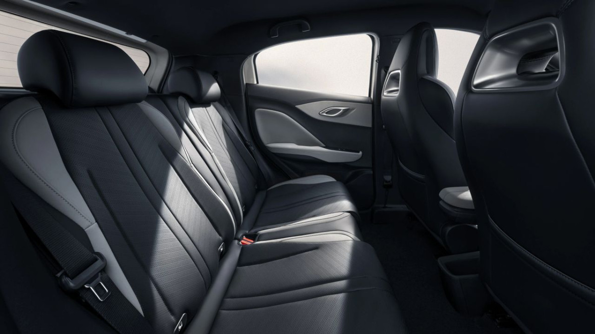 BYD Dolphin Surf