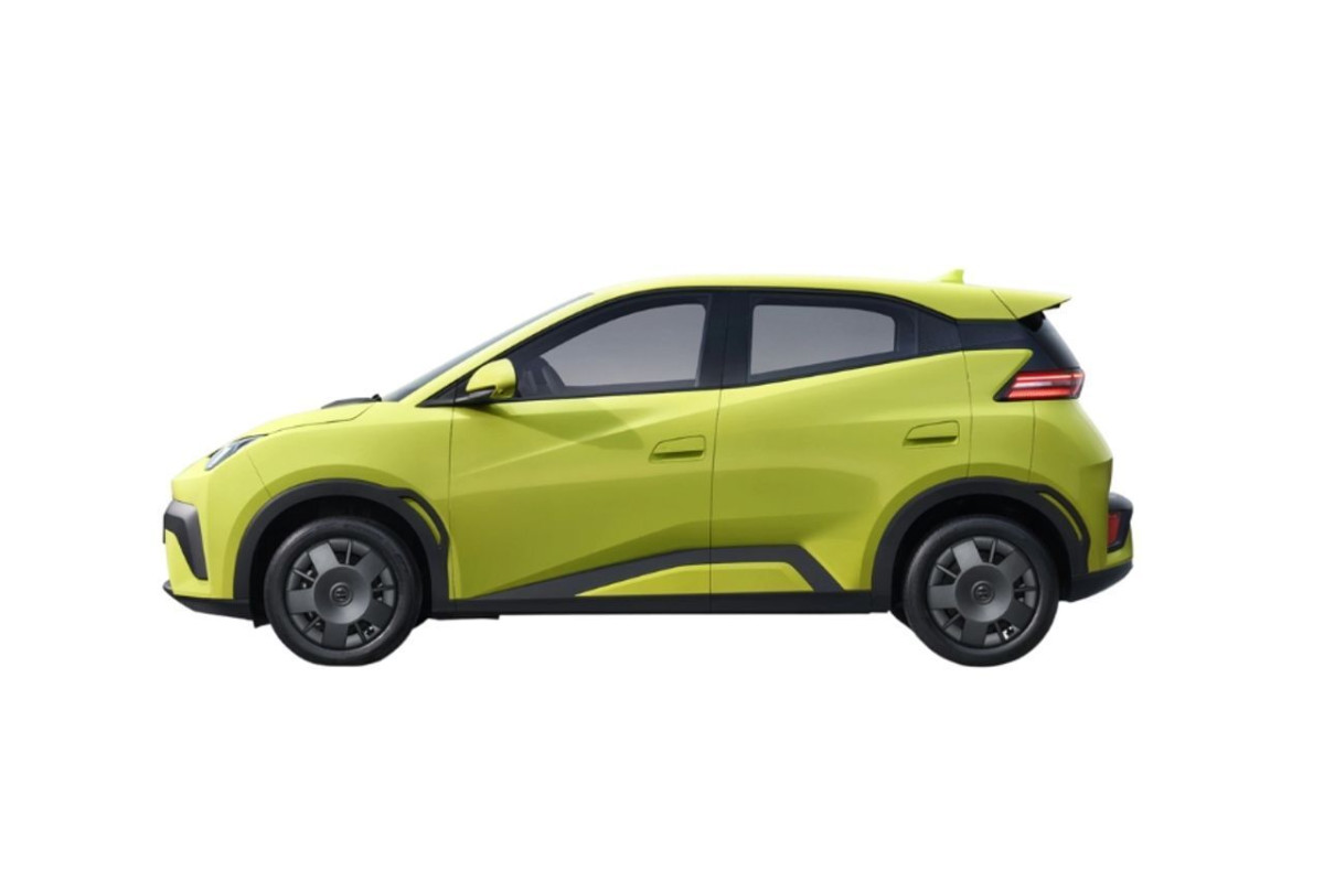 BYD Dolphin Surf