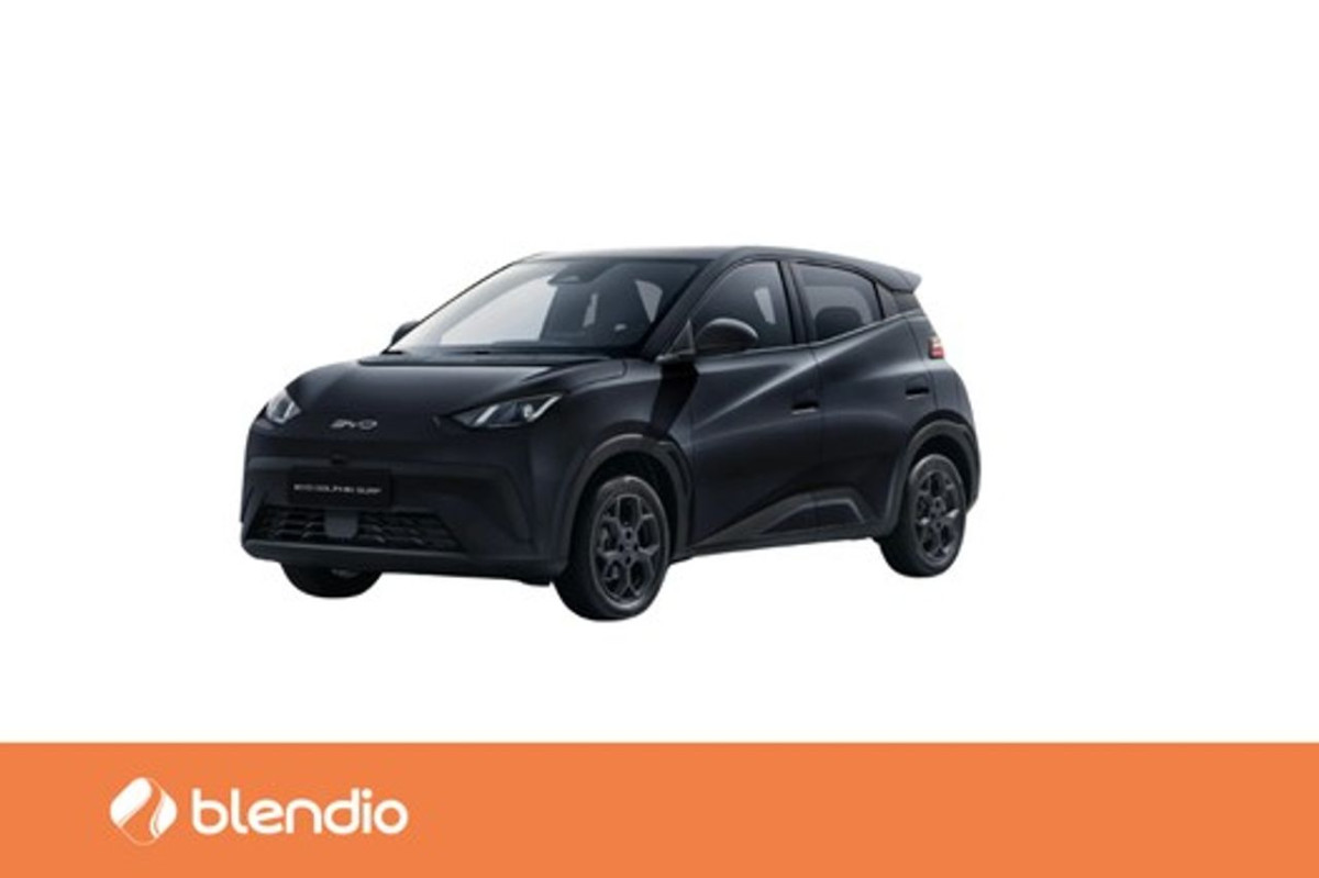 BYD Dolphin Surf Comfort