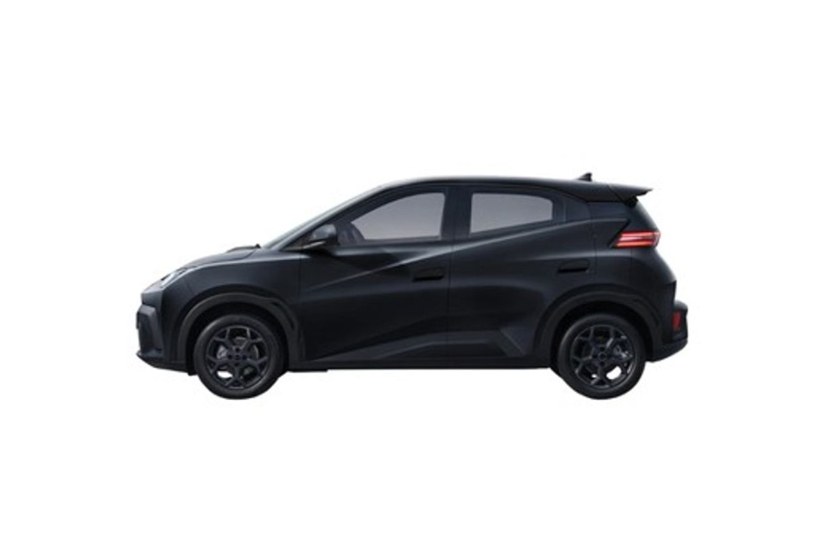 BYD Dolphin Surf