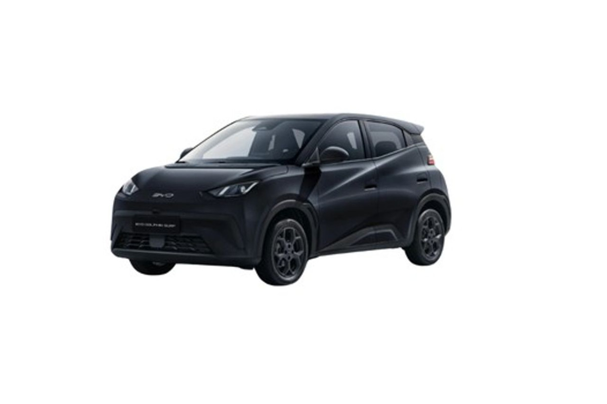 BYD Dolphin Surf