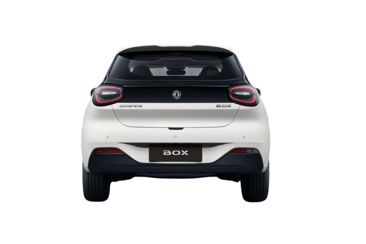 DONGFENG Box